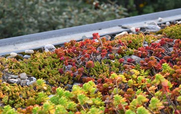 the cost of Paramoor green roof installation